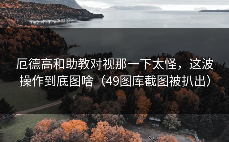 厄德高和助教对视那一下太怪，这波操作到底图啥（49图库截图被扒出）