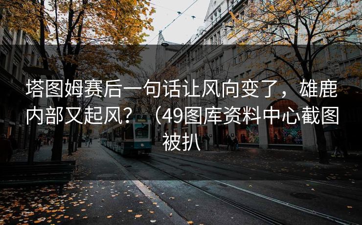 塔图姆赛后一句话让风向变了，雄鹿内部又起风？（49图库资料中心截图被扒