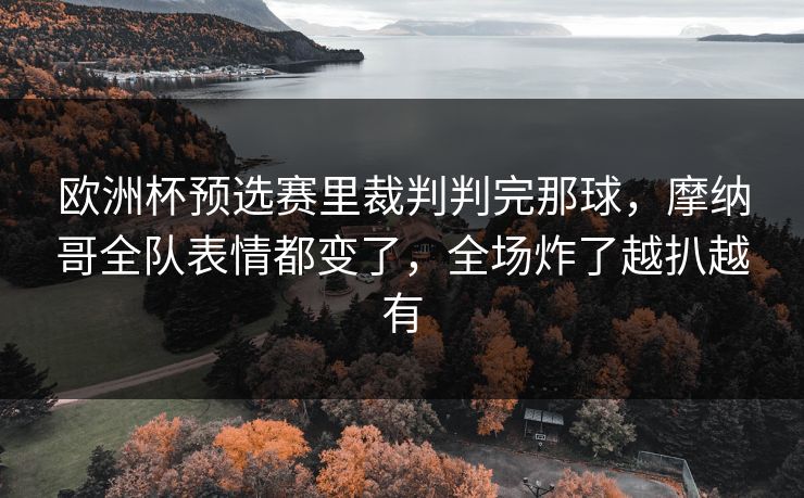 欧洲杯预选赛里裁判判完那球，摩纳哥全队表情都变了，全场炸了越扒越有